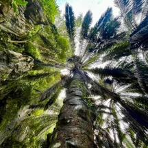 image-3-1