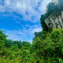 image-3-2